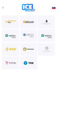 Výber platobnej metódy 5 eur