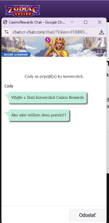 Počkajte na odpoveď od podpory